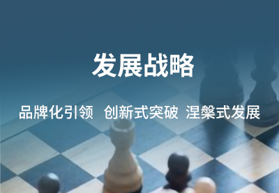 發展戰略